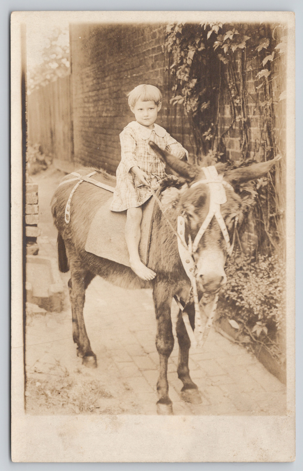 RPPC Small Girl Riding Donkey Divided Back A478