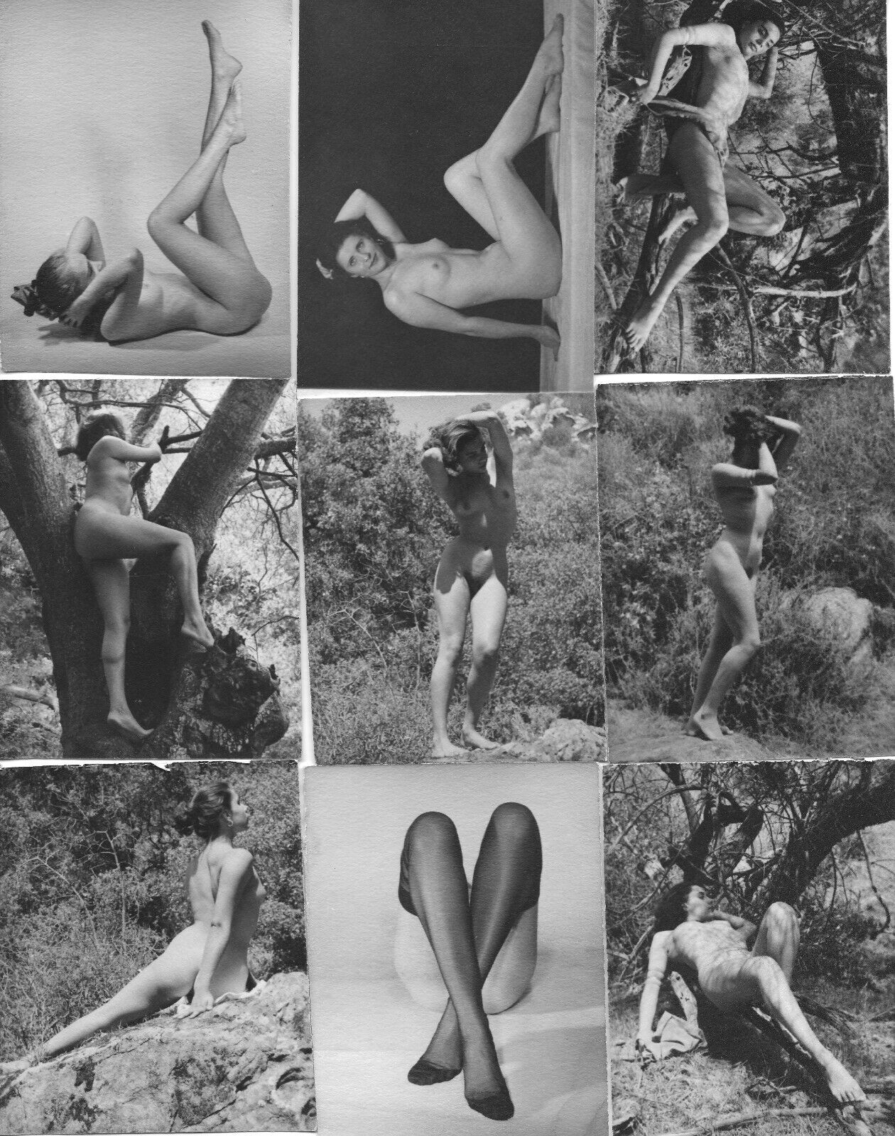 lot of 9 Original Vintage nude photos