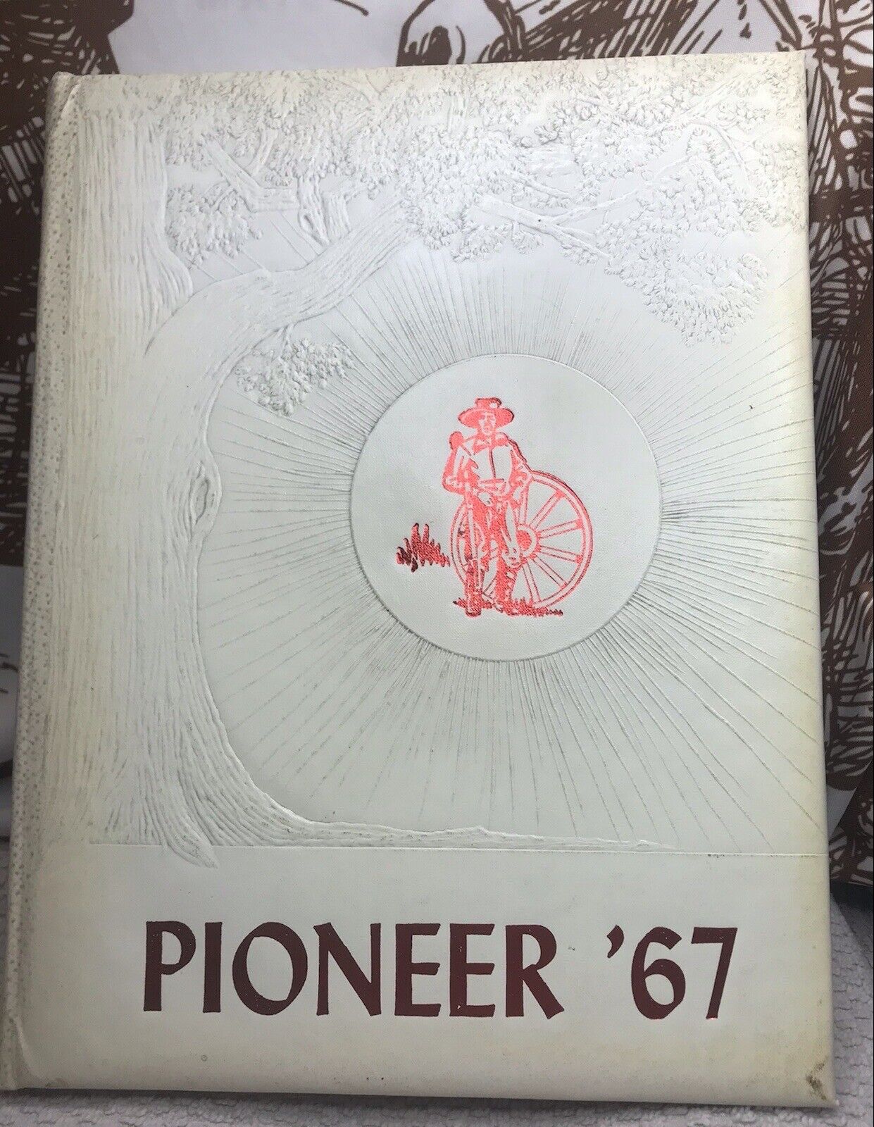 1967 Pioneer Annual/Yearbook Gentry Arkansas 