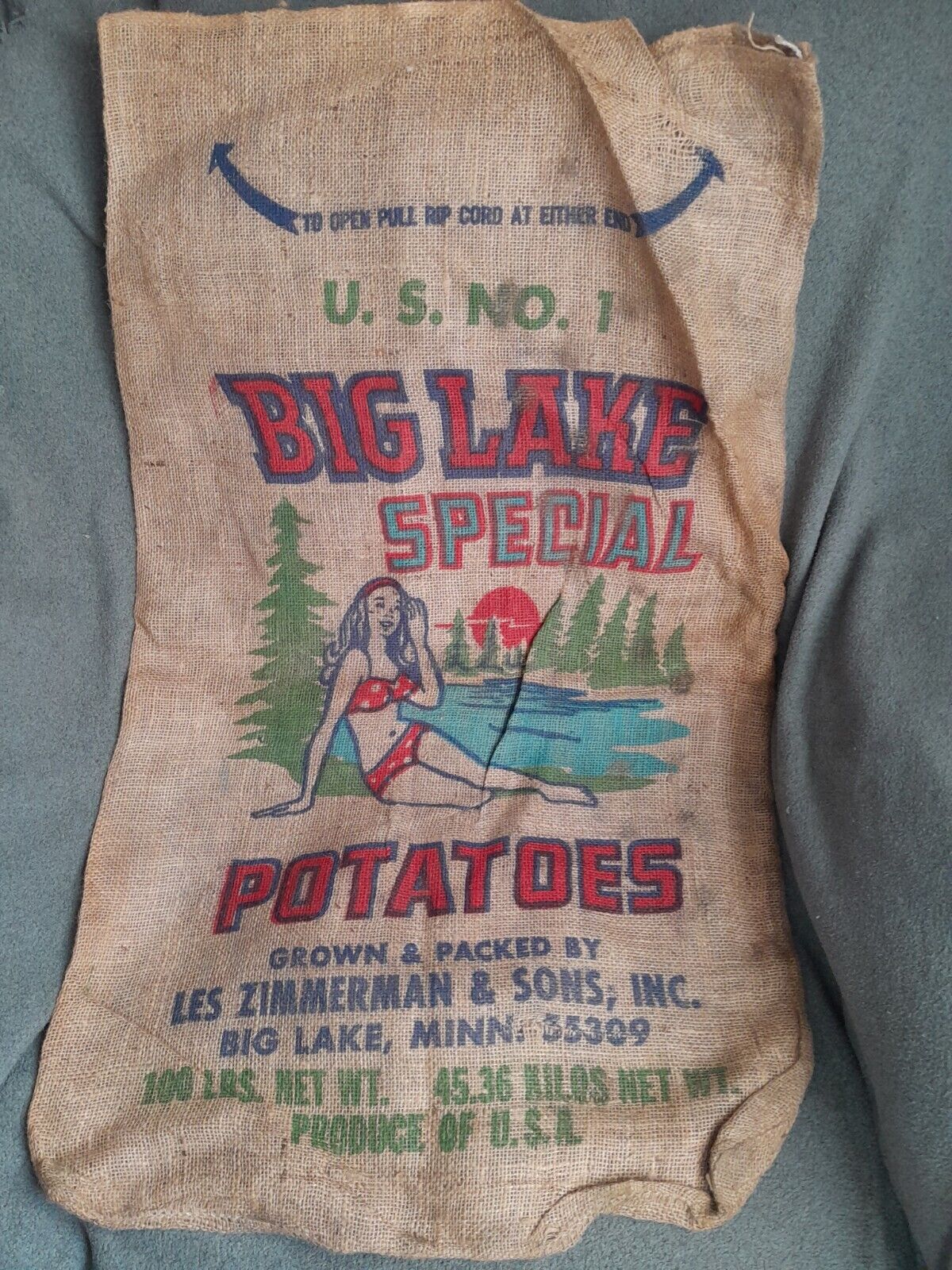 RARE Vintage Color Bikini Girl Logo Big Lake Special Burlap 100lb Potato Sack 
