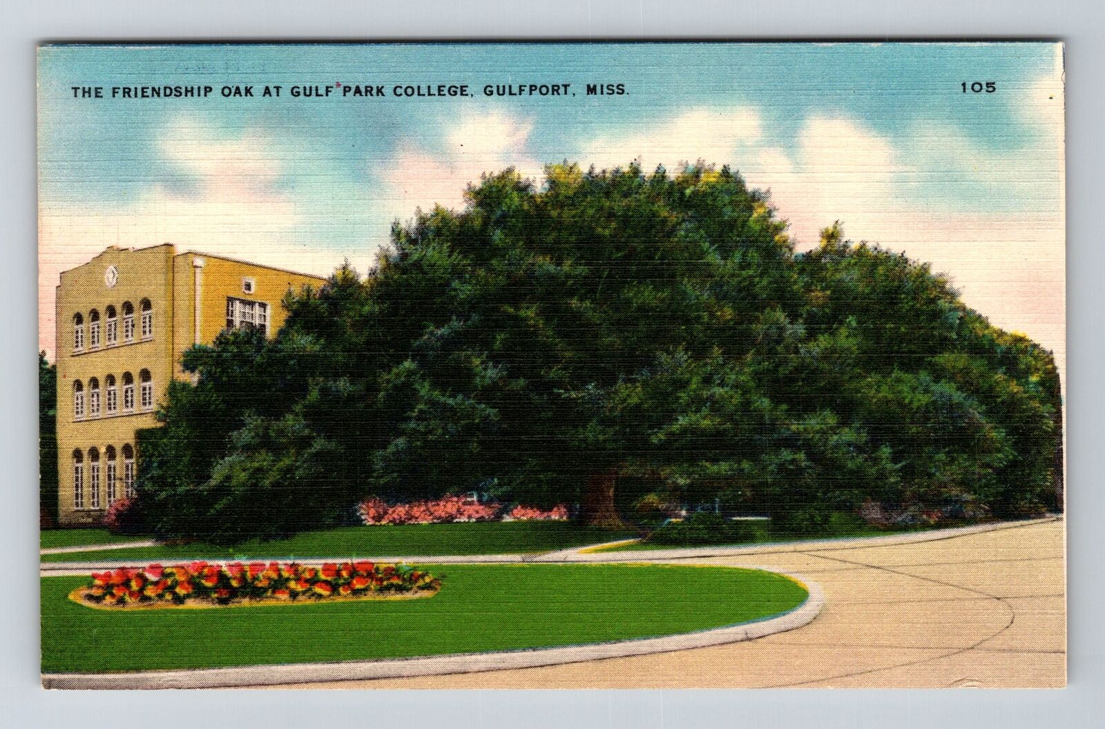 Gulfport MS-Mississippi, Friendship Oak, Gulf Park College Vintage Postcard