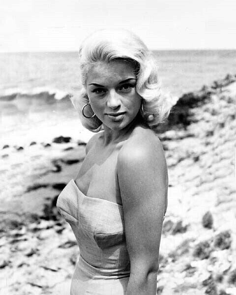 Diana Dors 1950's era pin-up in swimsuit on beach 4x6 inch photo