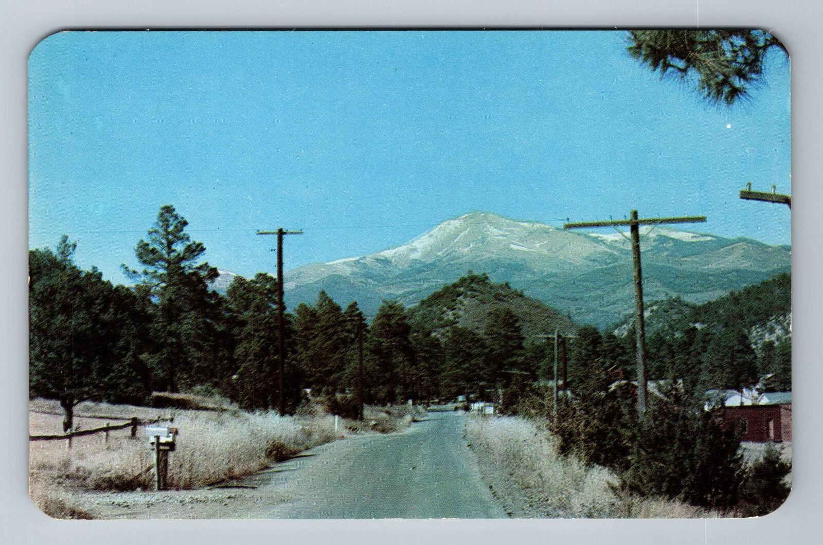 Ruidoso Highway NM-New Mexico White Mountain Antique Vintage Souvenir Postcard