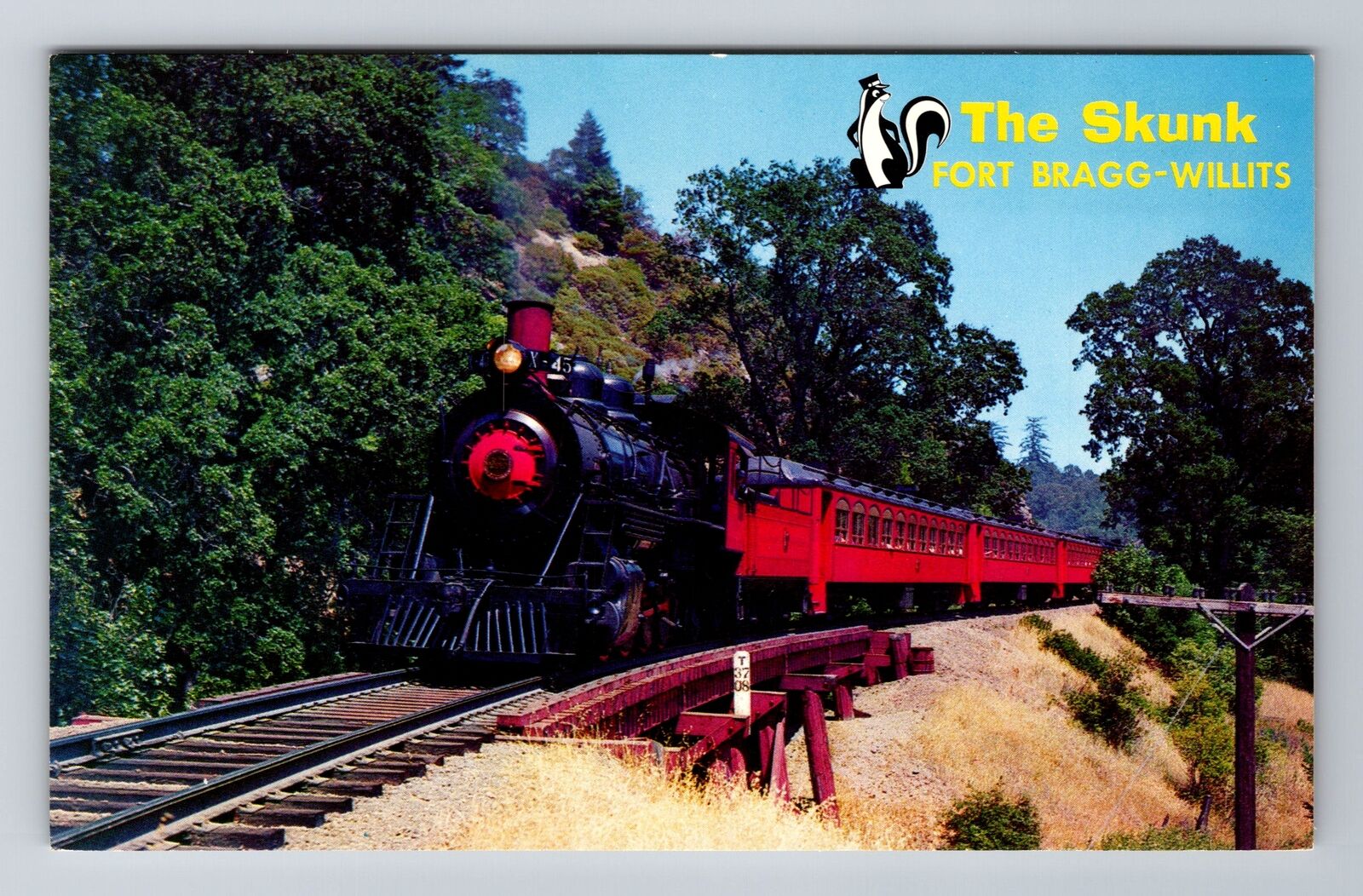 The Skunk, Fort Bragg-Willits, Train, Transportation, Antique, Vintage Postcard