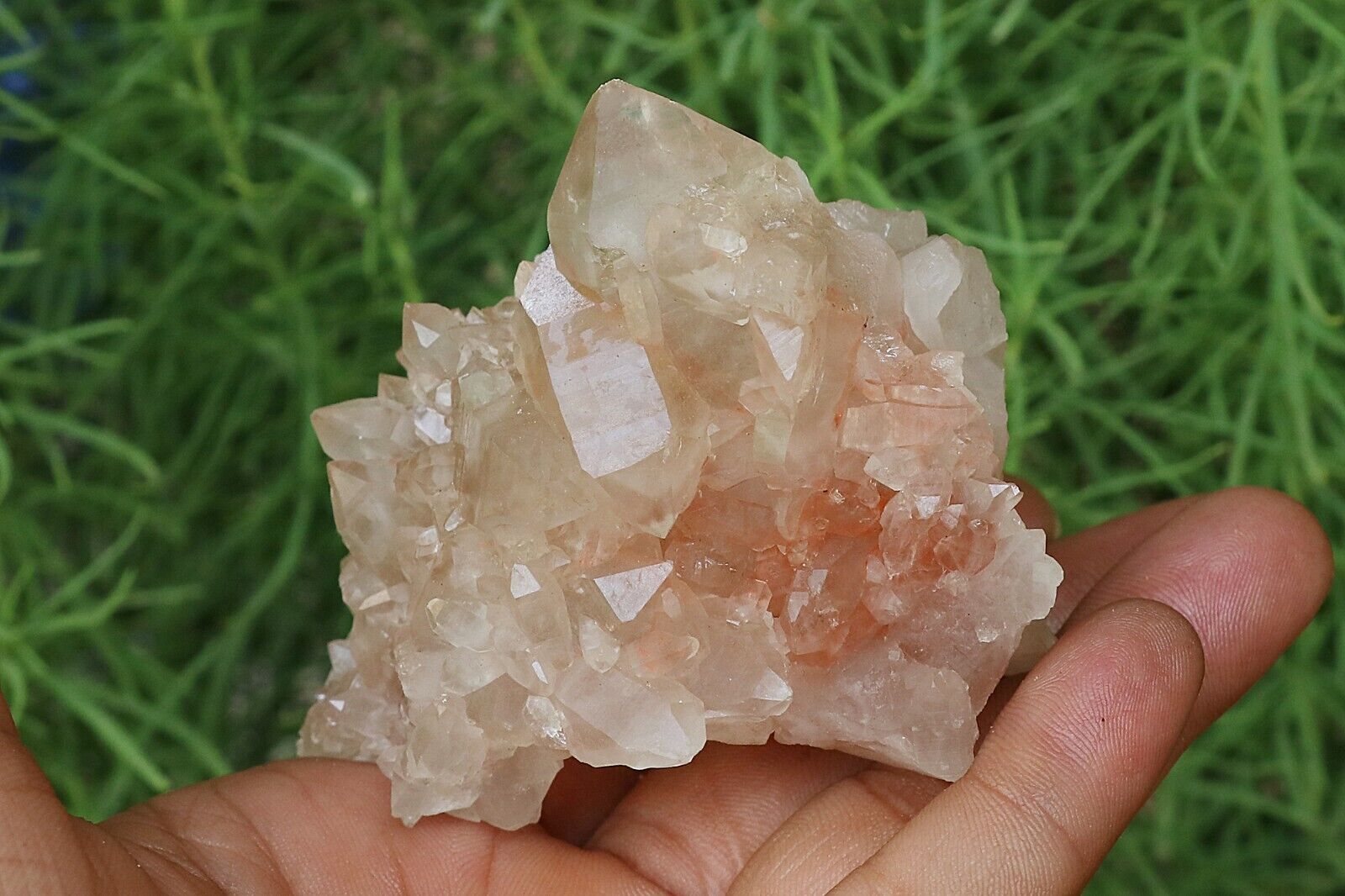 264 gm Pink Quartz Himalayan Crystal Natural Rough Healing Minerals Specimen