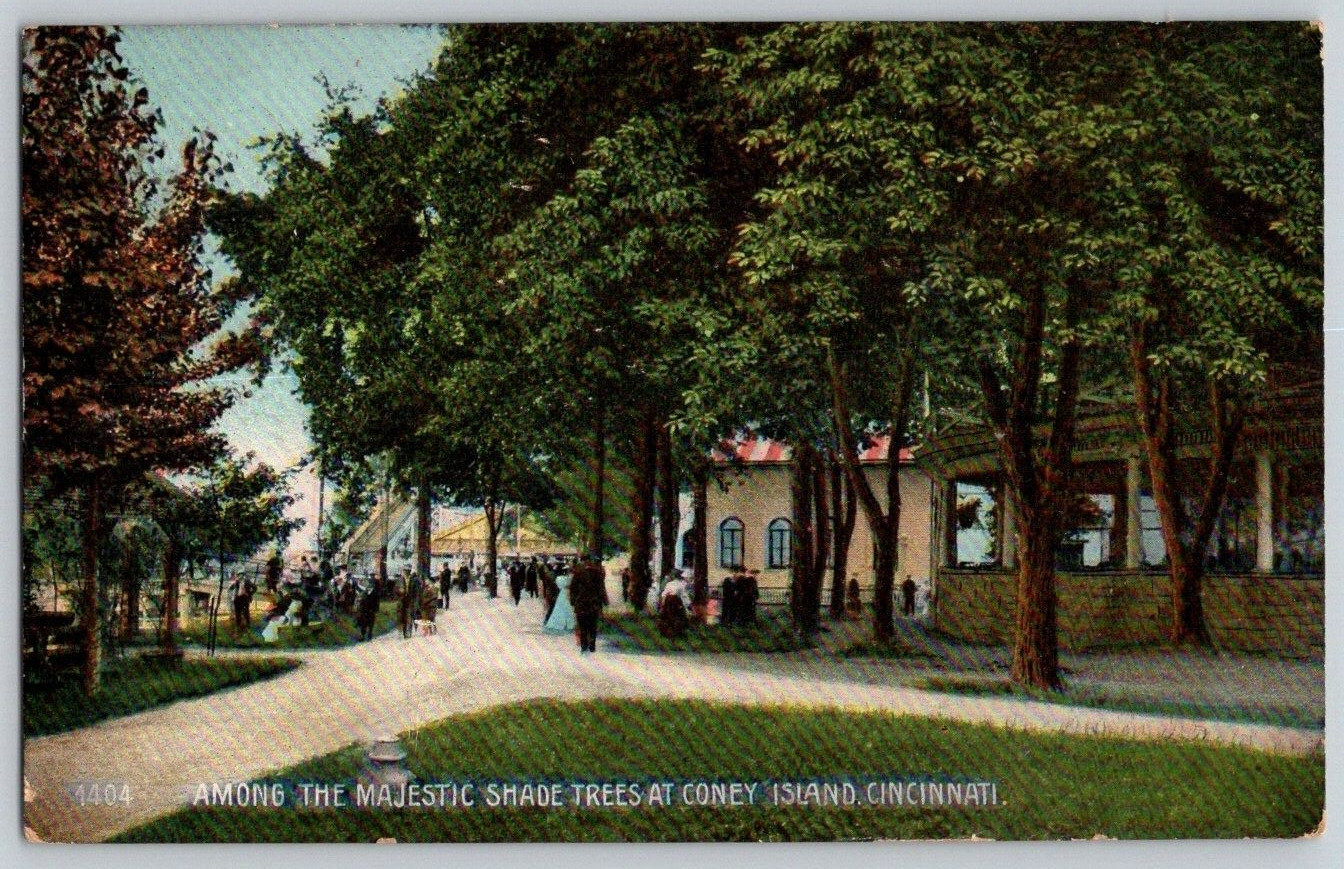 Antique Postcard~ Among The Majestic Shade Trees At Coney Island~ Cincinnati, OH