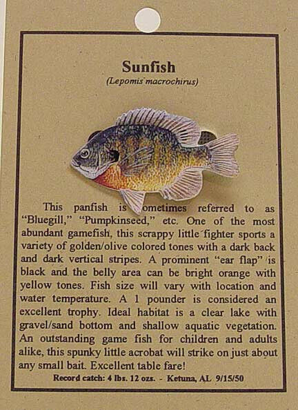 NEW SUNFISH FISH HAT PIN LAPEL PINS