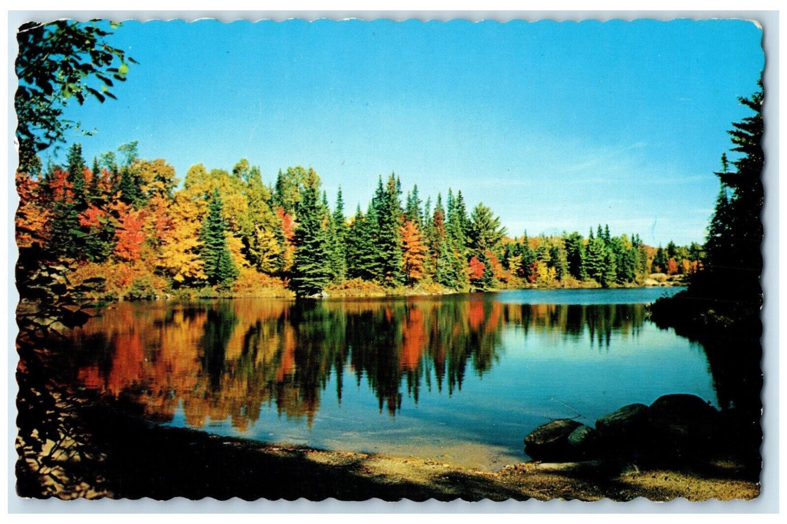 1976 Greetings from The Golden Town of Meadford Ontario Canada Postcard