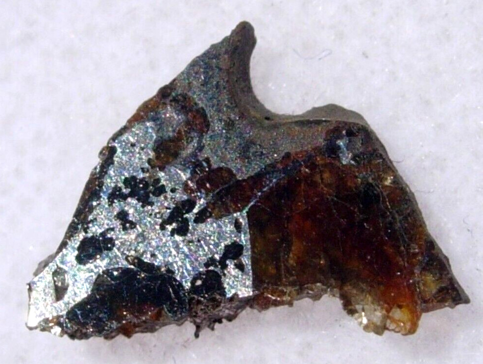 .395 grams Lipovsky Russia Meteorite found 1904 Pallasite, PMG cut fragment +COA