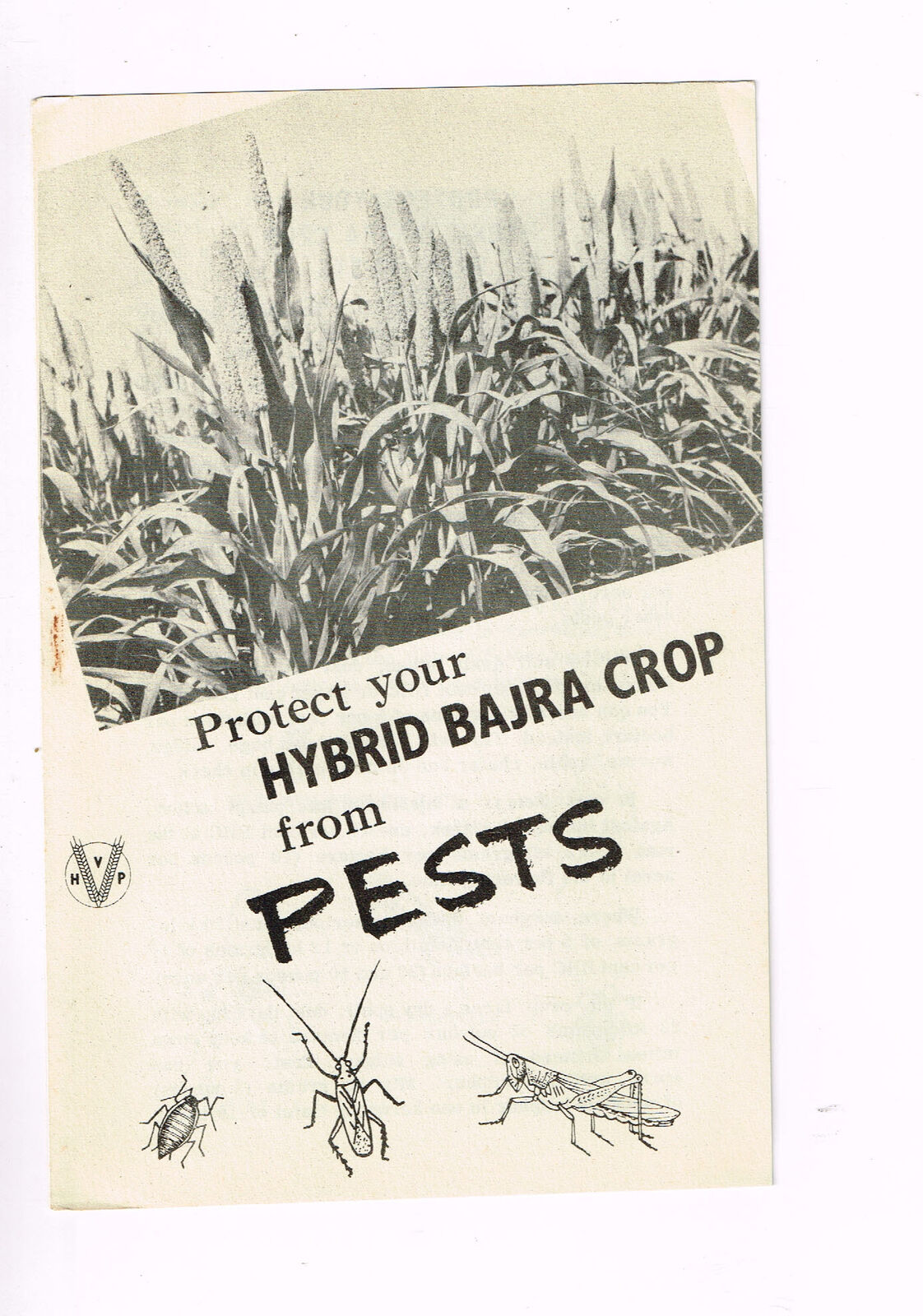 Vintage 1960s Farm Brochure India New Delhi Protect Hybrid Bajra Crop from Pests