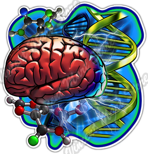 DNA Brain Cells Science Genetics School Car Bumper Vinyl Sticker Decal 4.6