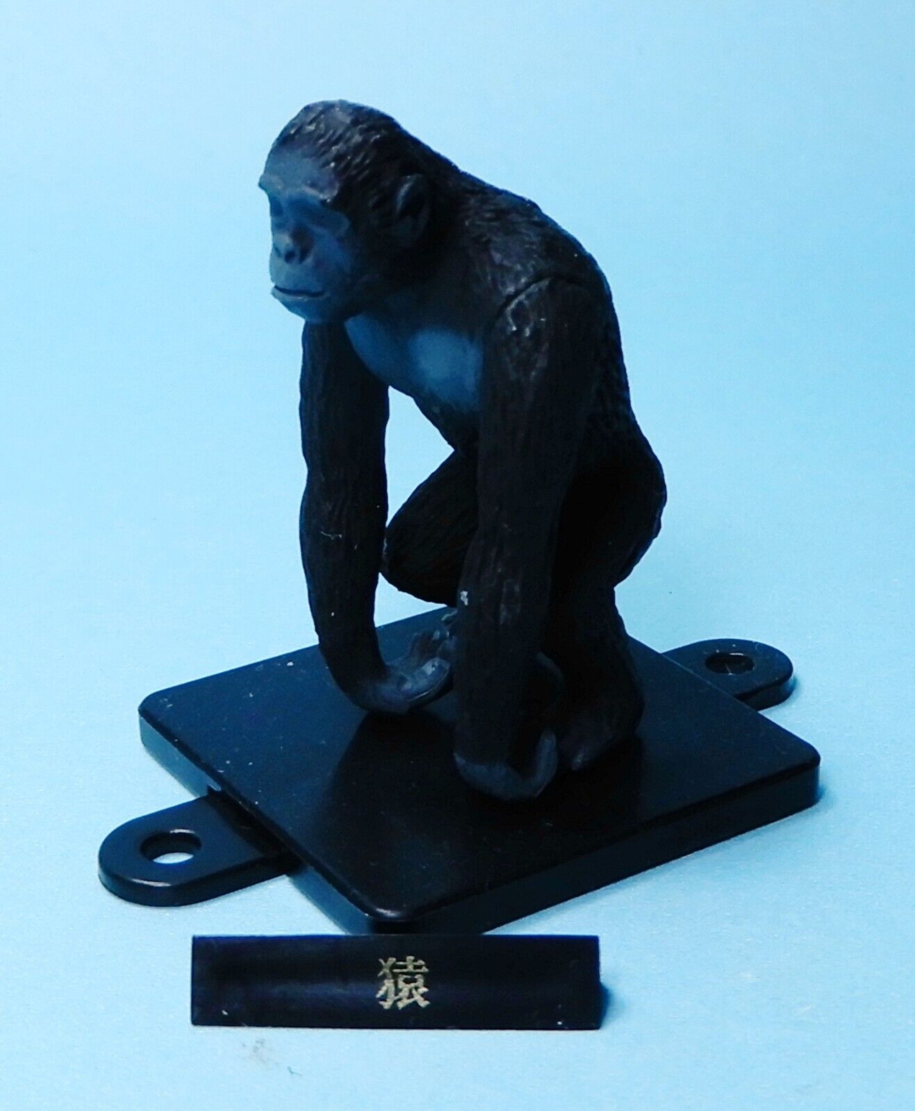 TAMA-KYU Gashapon Diagram of Human evolution mini figure Ape US seller New NIP