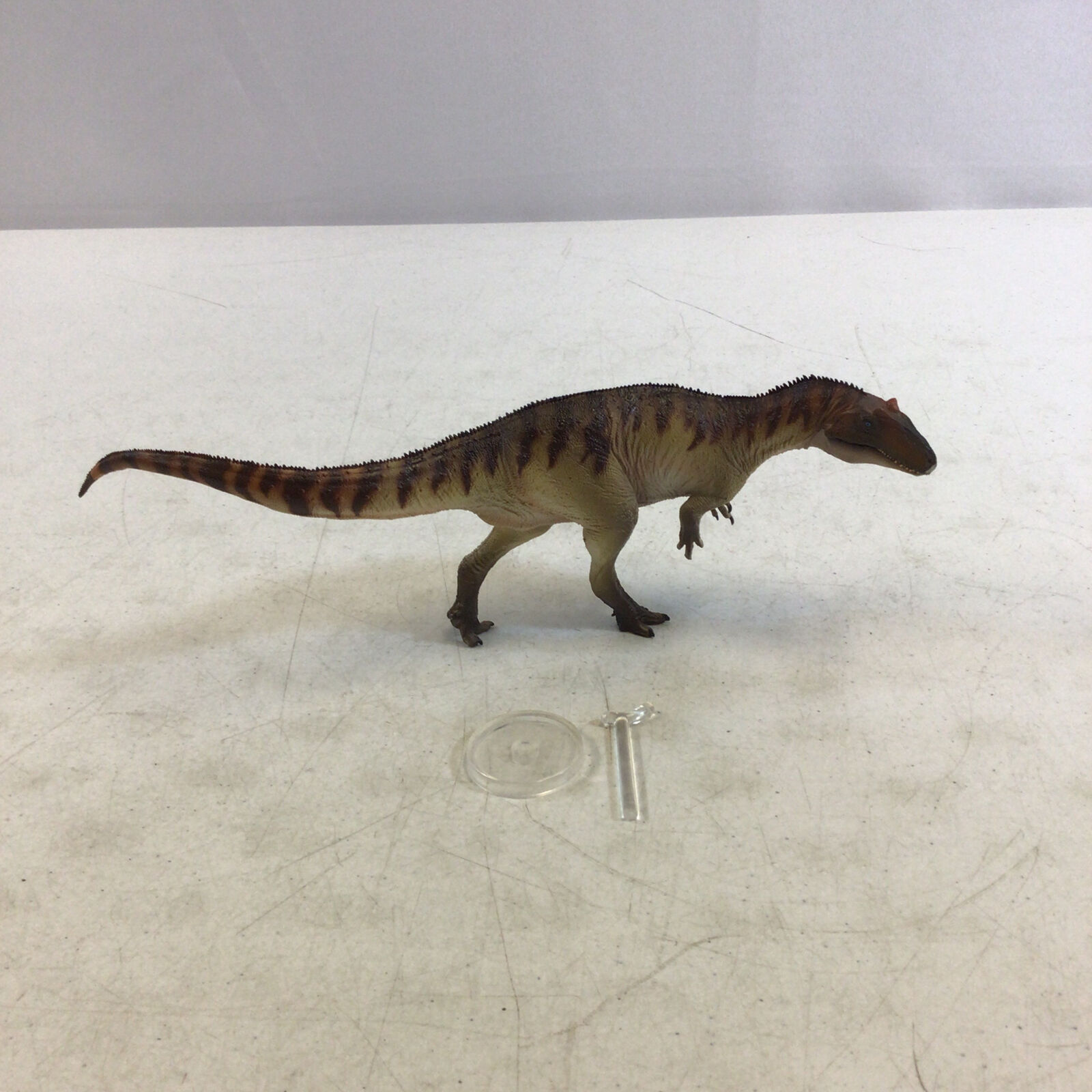 PNSO Prehistoric Dinosaur Models 45 Paul The Allosaurus Figurine Used