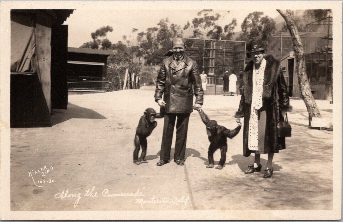 1930 MONTECITO Calif. RPPC Postcard Along the Promenade Chimpanzees NIELEN Photo