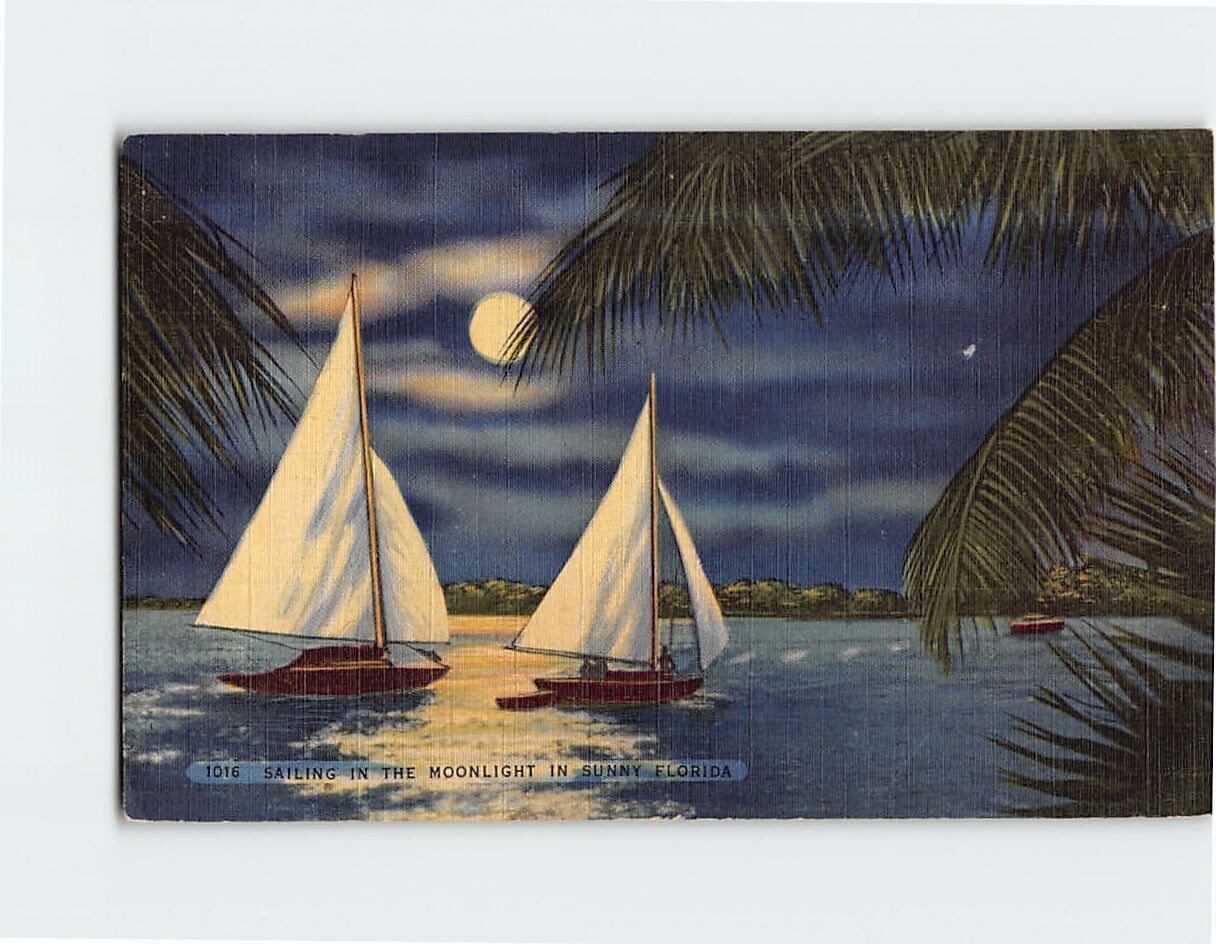 Postcard Sailing in the Moonlight in Florida USA