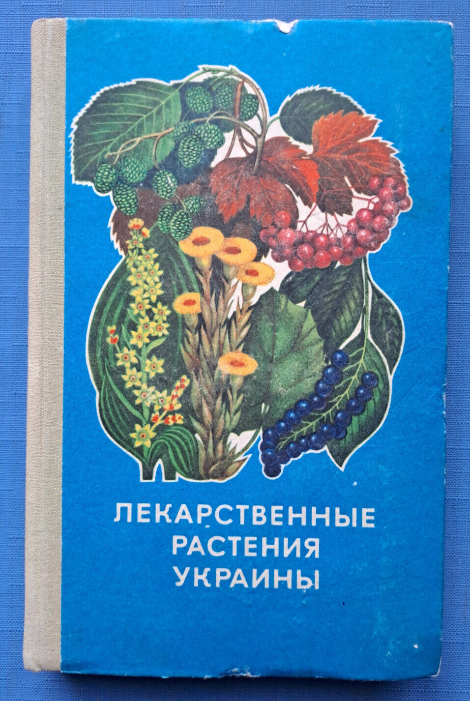 1975 Medicinal Plants Ukraine Herbal Treatment Medication Botanical Russian book