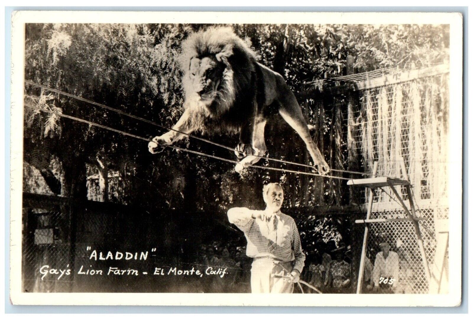c1940\'s Aladdin Gays Lion Farm El Monte California CA RPPC Photo Postcard
