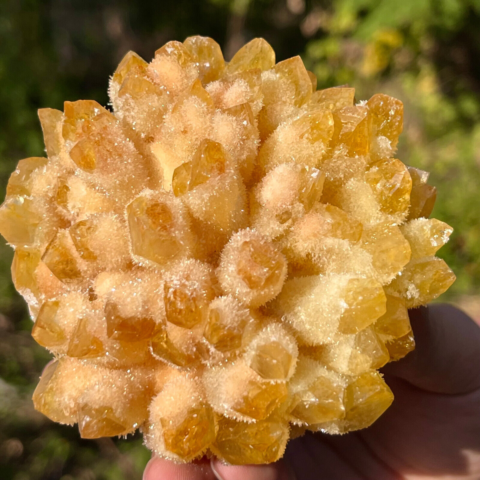 1.22LB Newly Discovered Yellow Phantom Quartz Crystal Cluster Mineral Sample