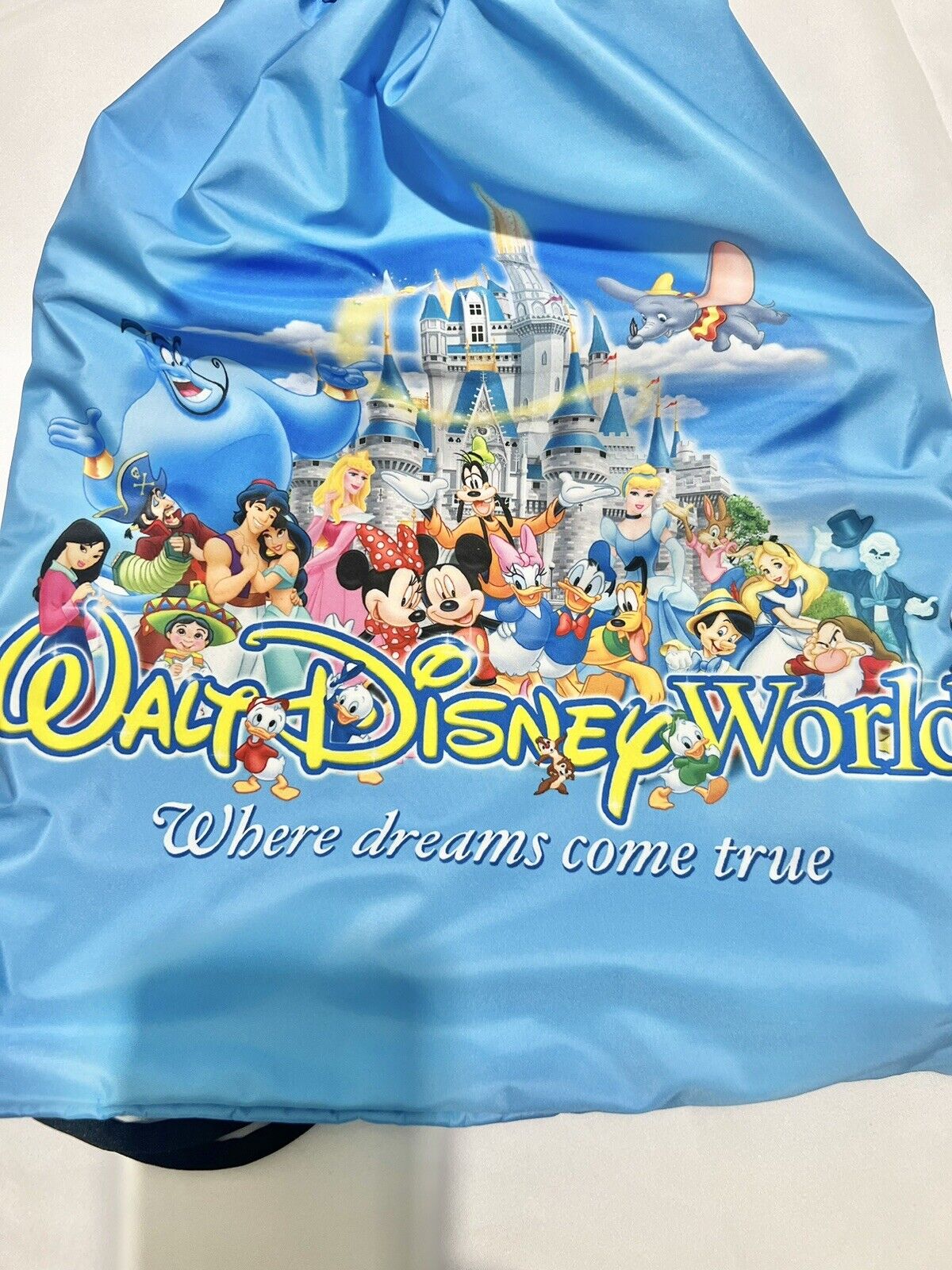 2024 Walt Disney World Splash Mountain Brer Rabbit Mickey Cinch Bag NEW