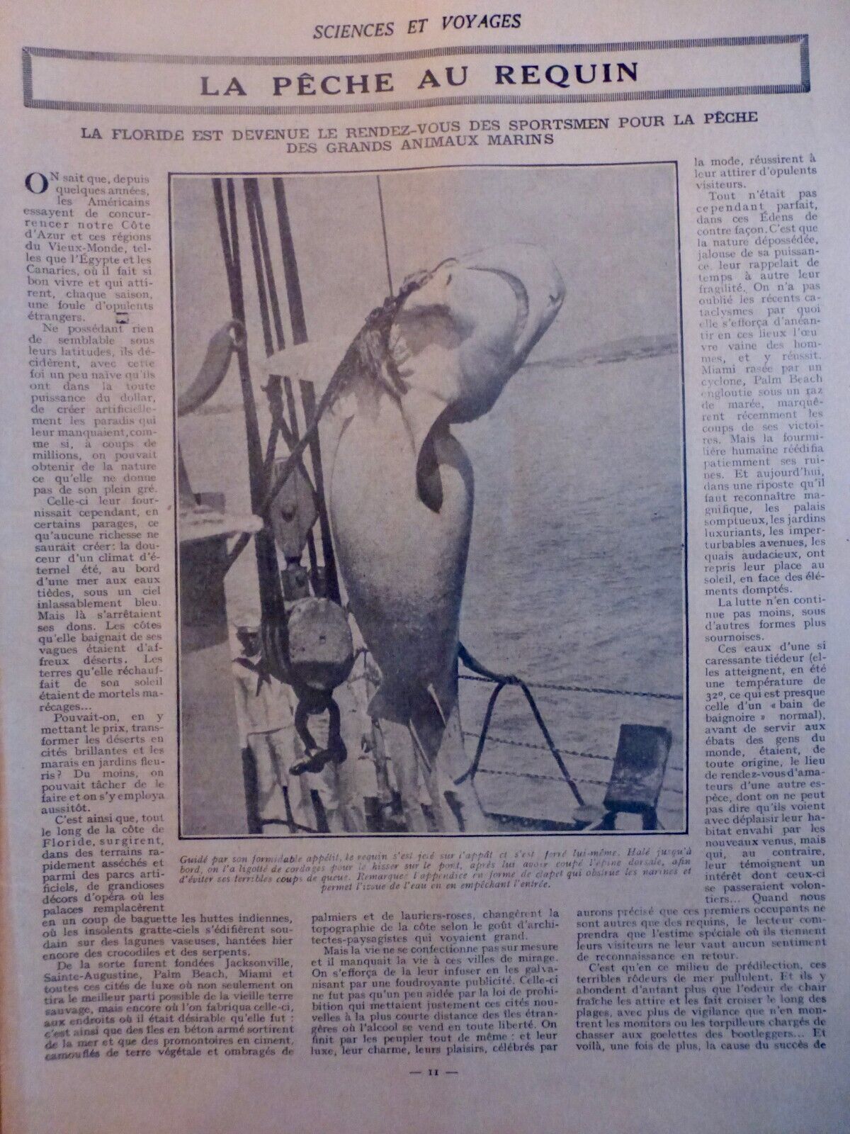 1866 1933 Sharks Attack Fishing 24 Newspapers Antique