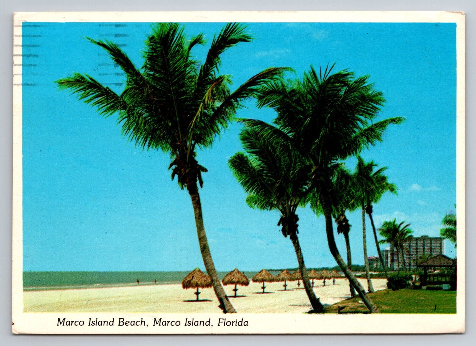 Marco Island Beach Vintage Posted 1984 Florida Postcard