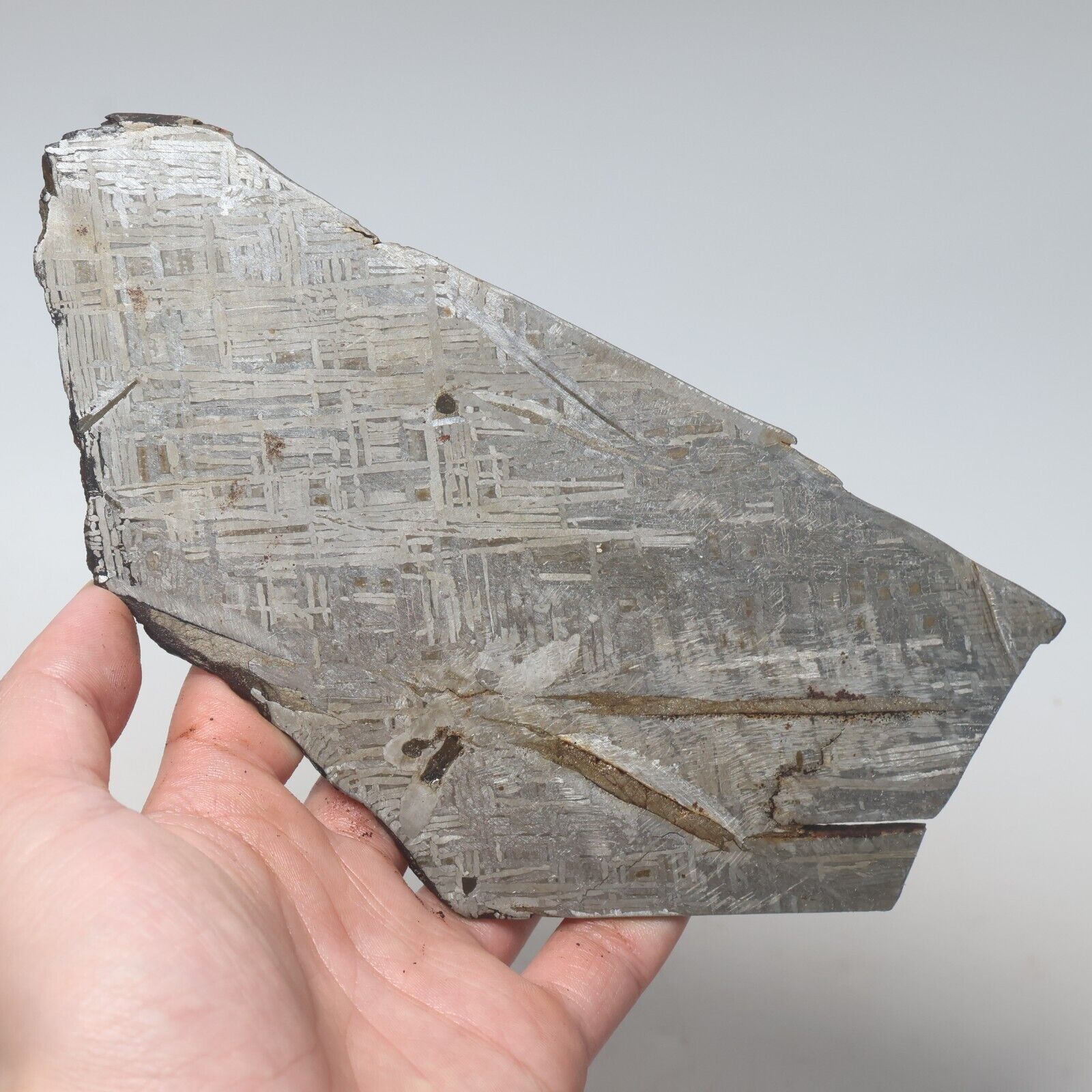 218g  Muonionalusta meteorite part slice C7694