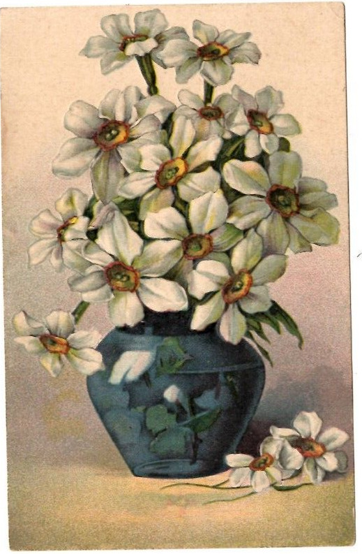 Postcard 1909 Floral Bouquet Narcissus Blue Vase Embossed Made in Germany
