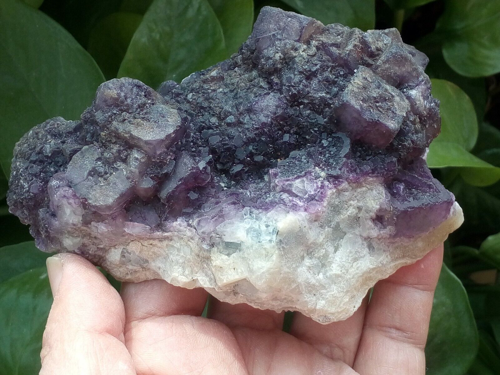 494g Natural purple fluorite crystal mineral specimen china