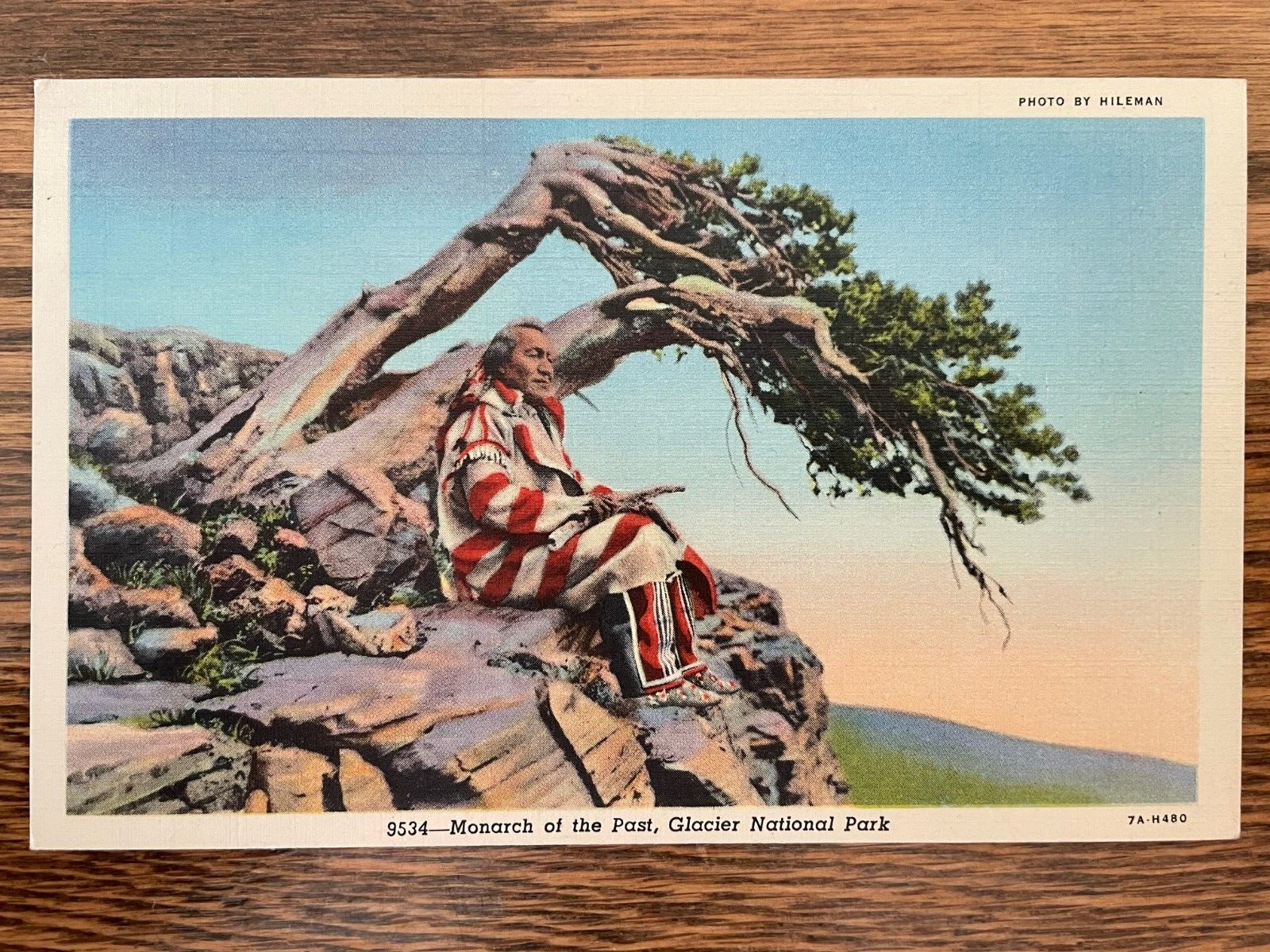 Glacier National Park-Monarch of the Past Vintage Postcard 9534, Native American