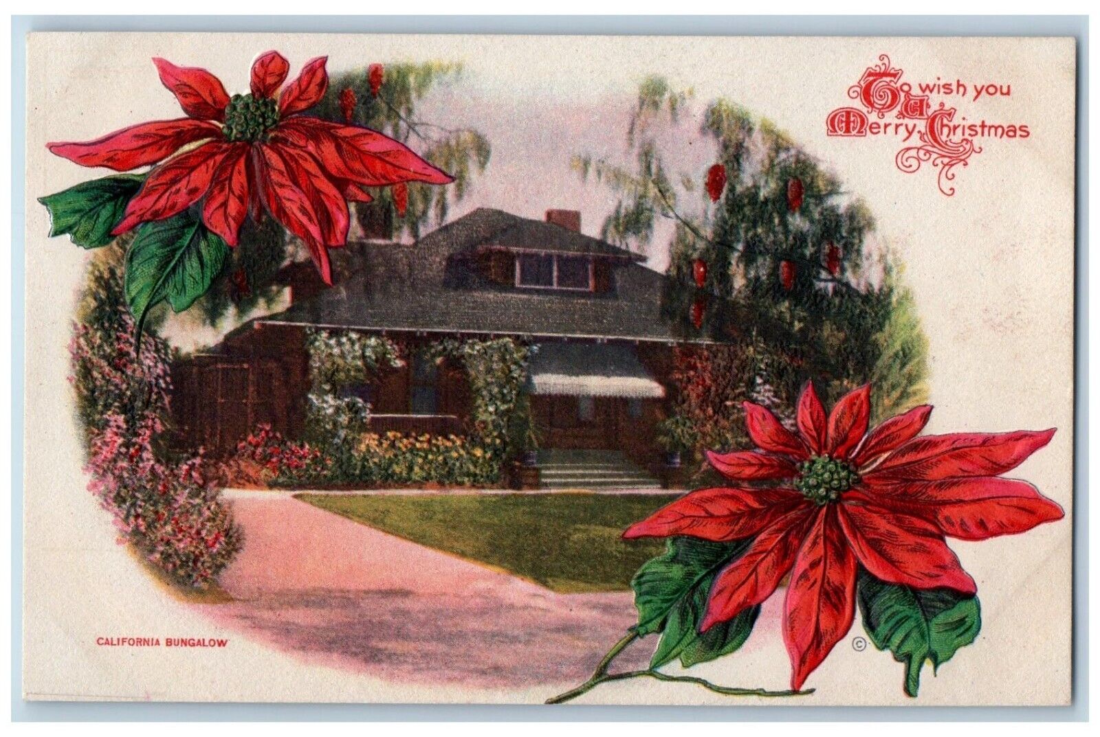Christmas Postcard Poinsettia Flowers California Bungalow Embossed c1910's