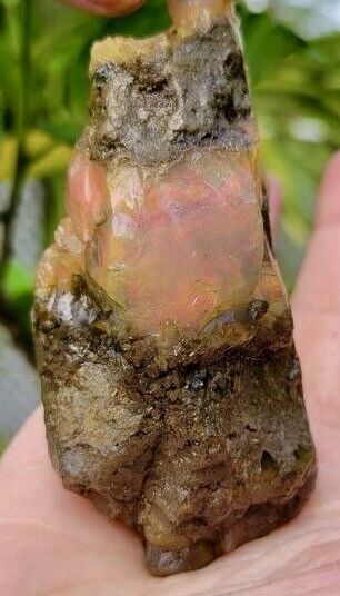 Ethiopian Opal  Large Rough Rock  Beautiful Iridescent Colors 4.5 “  X  2 “