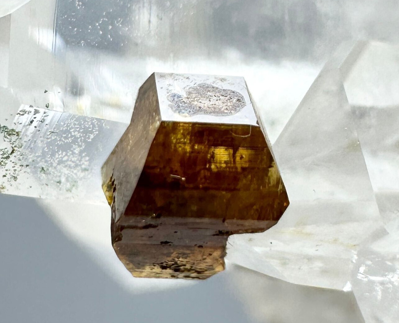 483 Carat Very Rare EXTRAORDINARY  Top Yellow Anatase Crystal On Quartz @PAK