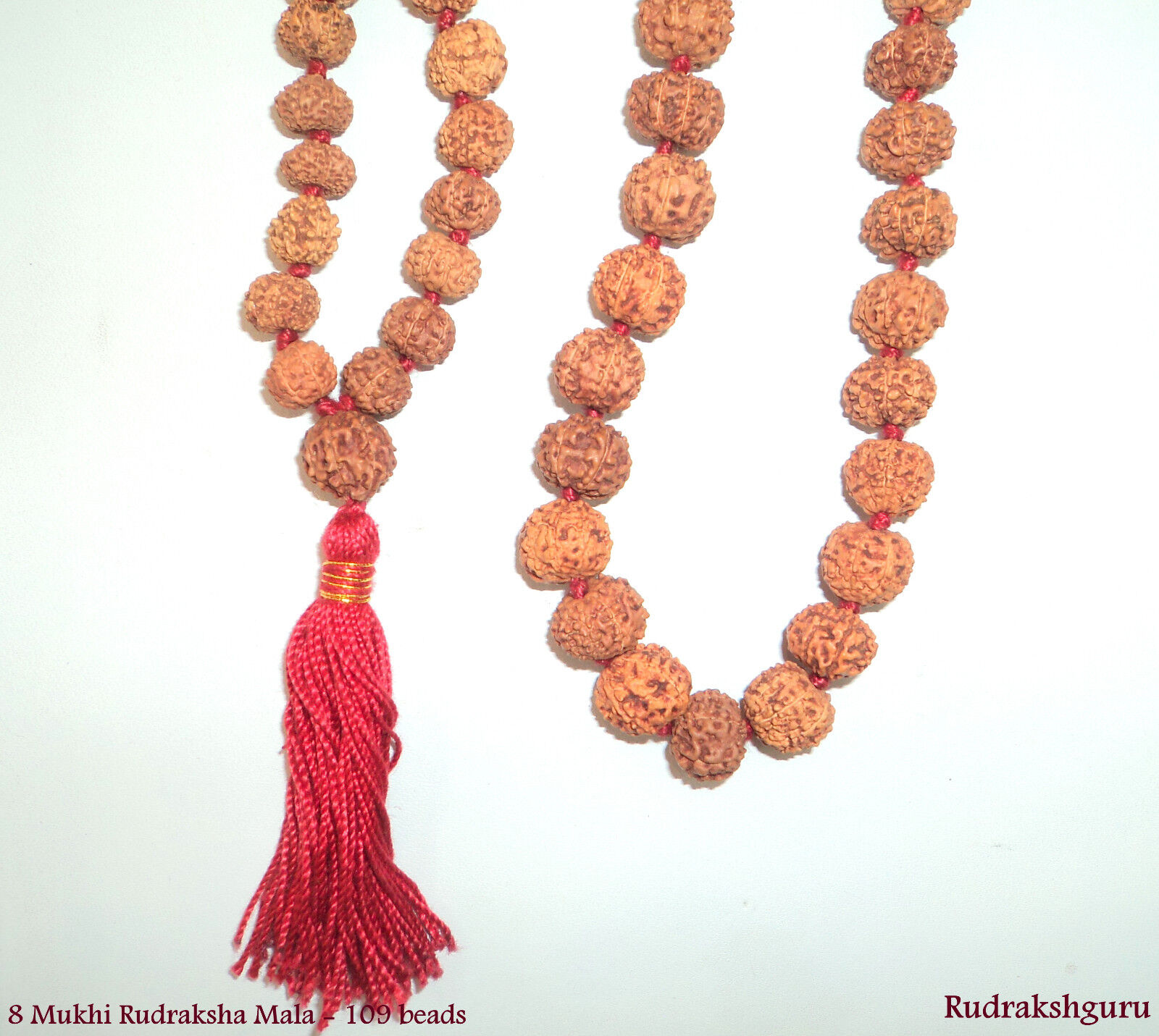 Rare 8 Mukhi Rudraksh Mala / Ganesh Mala- Java -109 bead - Certified