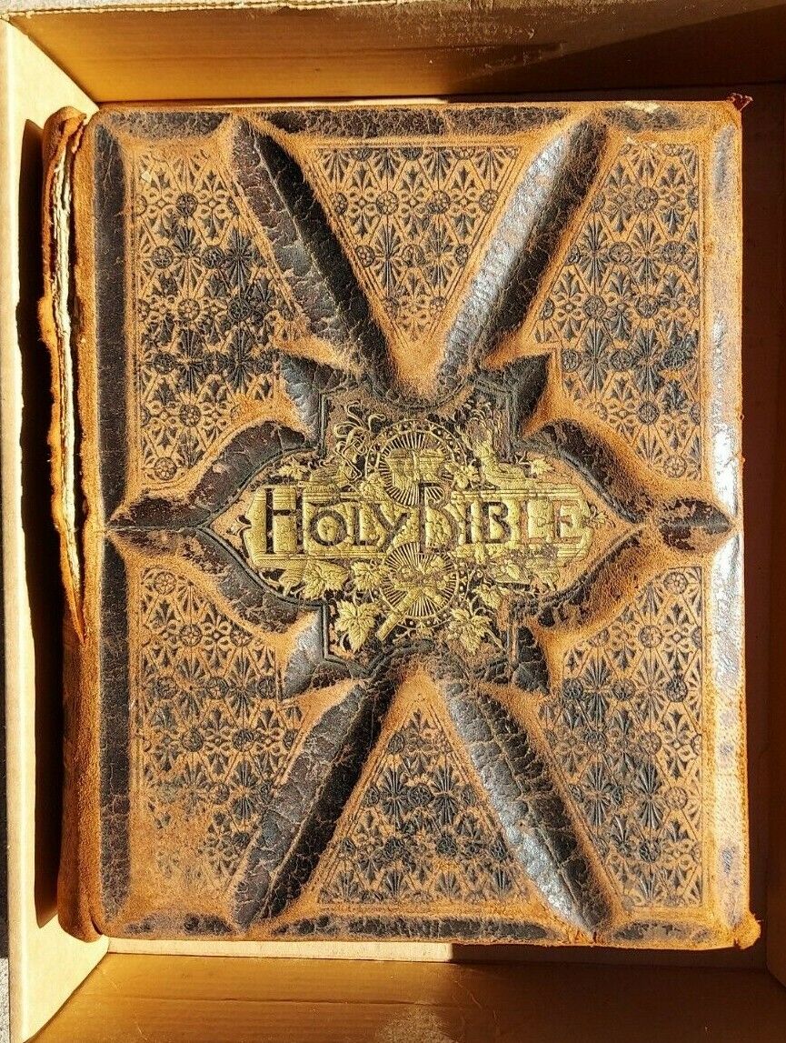 RARE Vintage Parallel Column Family Holy Bible W/Pictorial Illustrations Old