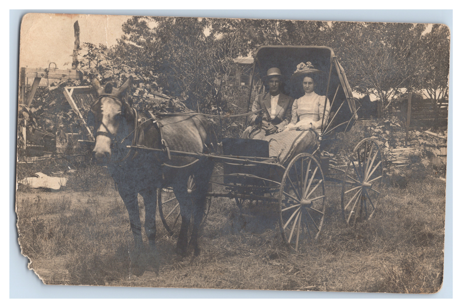 Vintage RPPC Postcard Horse and Carriage with Fashionable Woman and Man 1900's