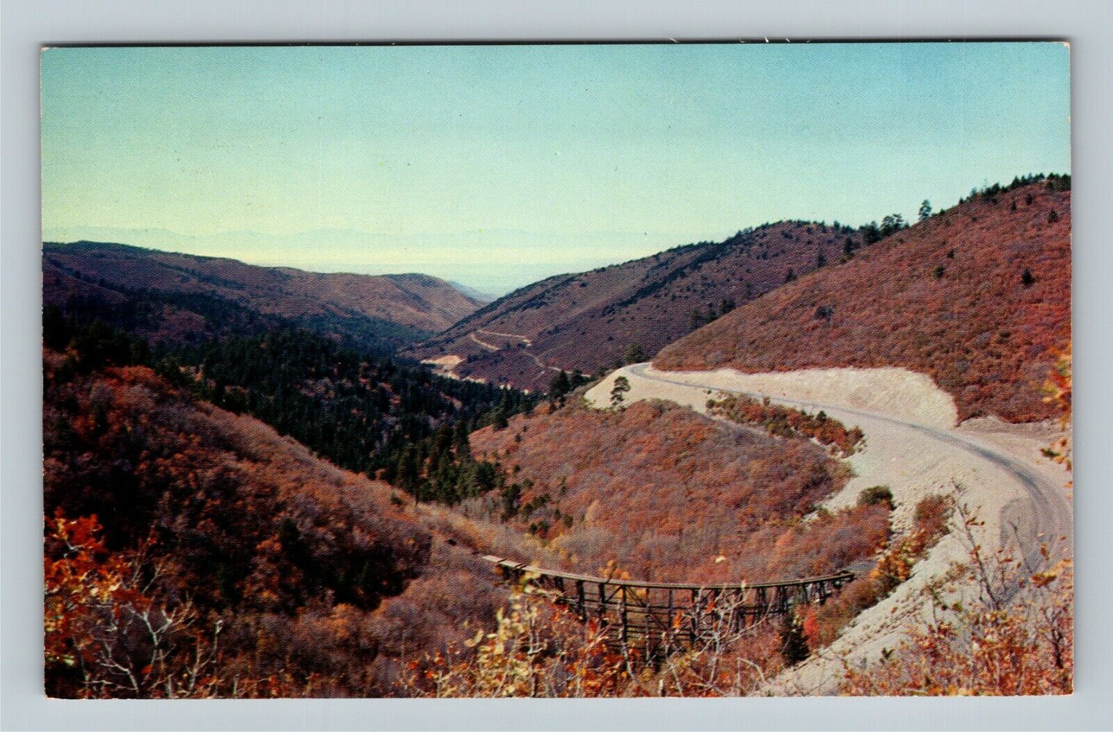 Cloudcroft NM, Scenic Roadway, New Mexico Vintage Postcard