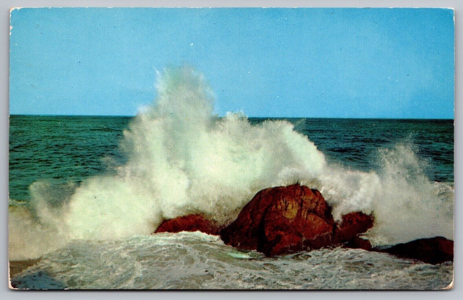 Rocks Surf Oceanfront Shoreline Sea Shore Ocean Coast Seashore Wave VNG Postcard
