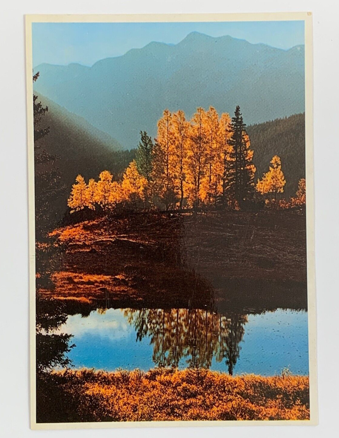 Autumn Hues Color the Rockies Colorado Postcard Unposted