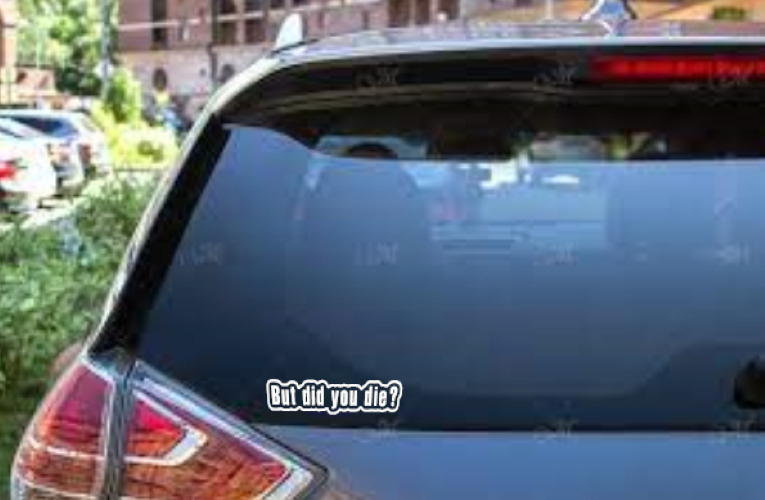 But did you die? funny vinyl decal car bumper sticker 028