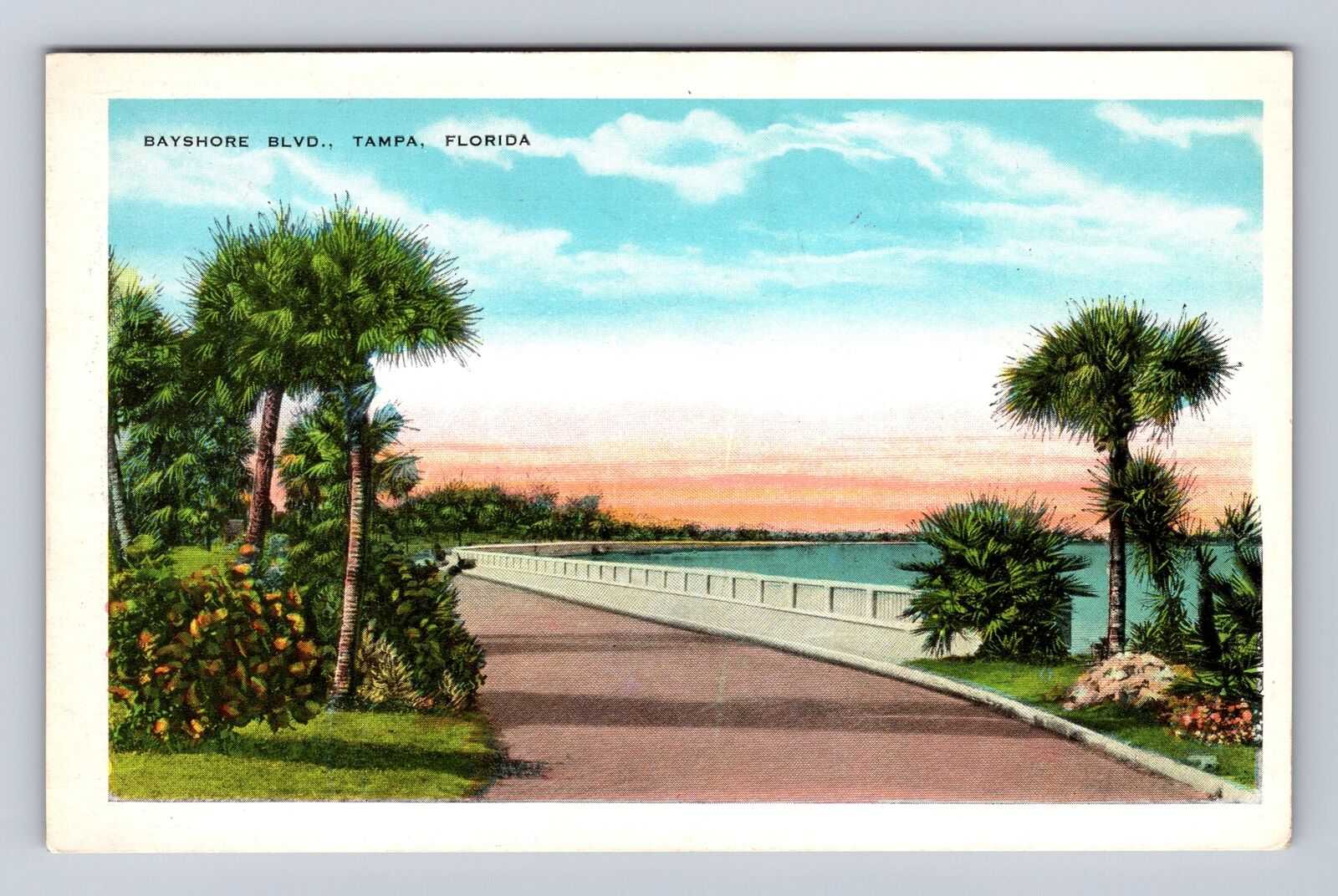 Tampa FL-Florida, Scenic View Of Bayshore Boulevard Antique, Vintage Postcard