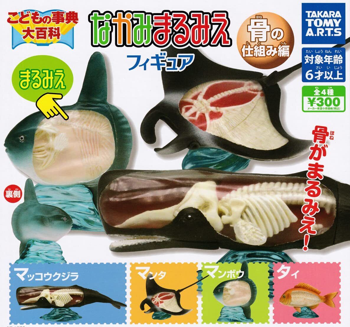 Children's Encyclopedia Nakami Marumie Figure Full Comp Gacha Gacha Toy ...