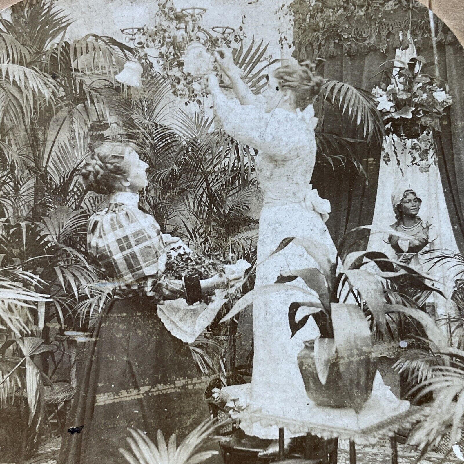 Antique 1897 Woman Decorates For Victorian Wedding Stereoview Photo Card P2940