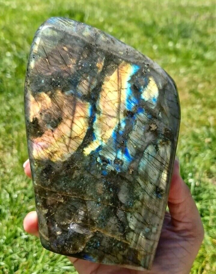Beautiful Big Labradorite Crystal Free Form 15cm 1.55kg Rainbow Flash