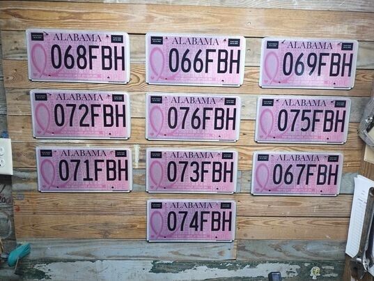 Alabama 2012 Lot of 10 Expired Breat Cancer License Plate Tags CCK695