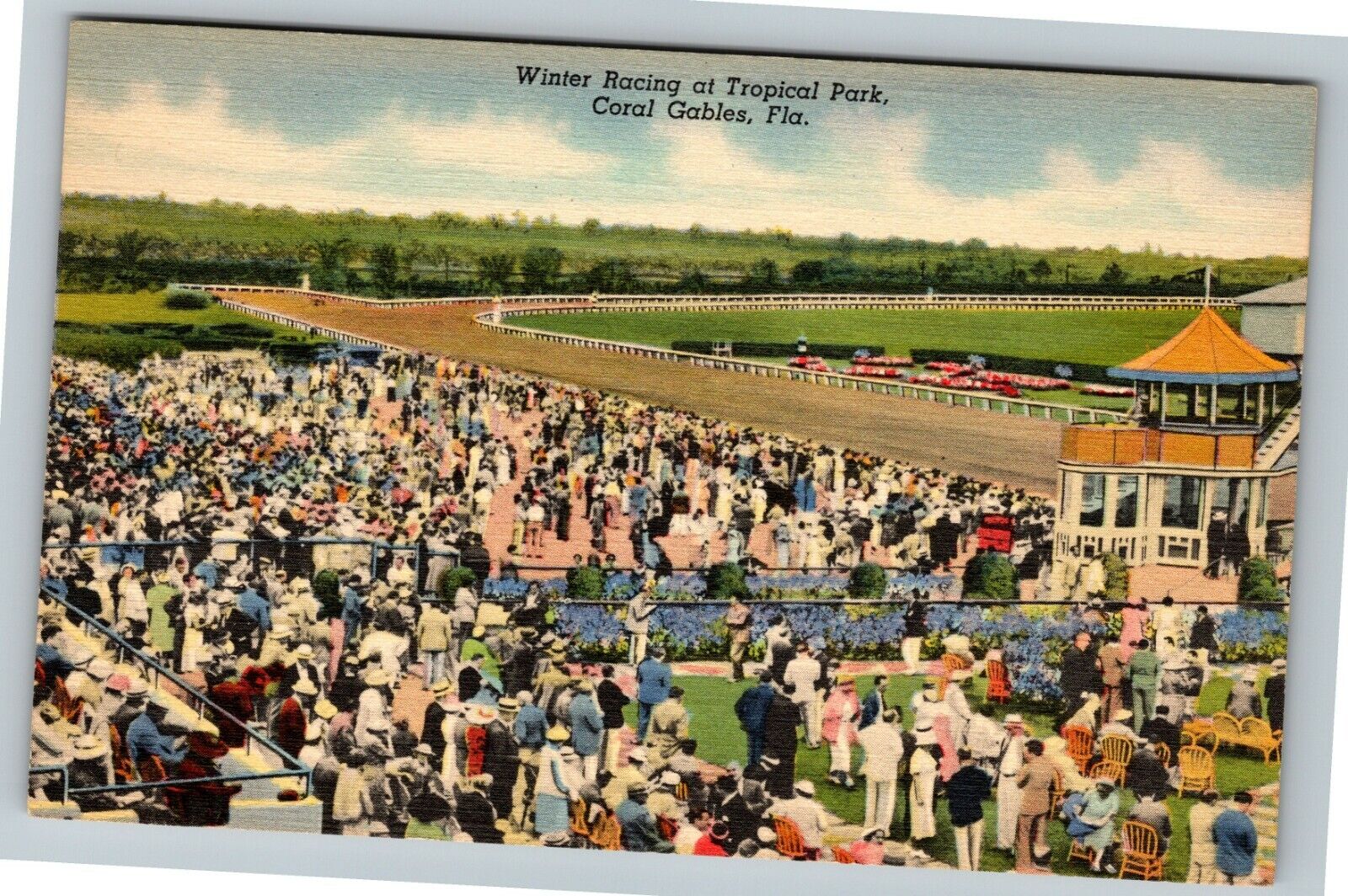 Coral Gables FL-Florida, Winter Racing At Tropical Park Vintage Postcard