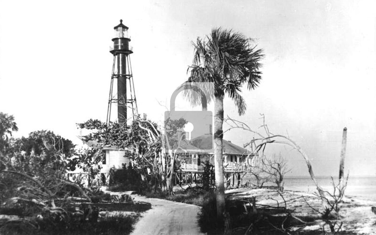 Lighthouse Sanibel Island Florida FL Reprint Postcard