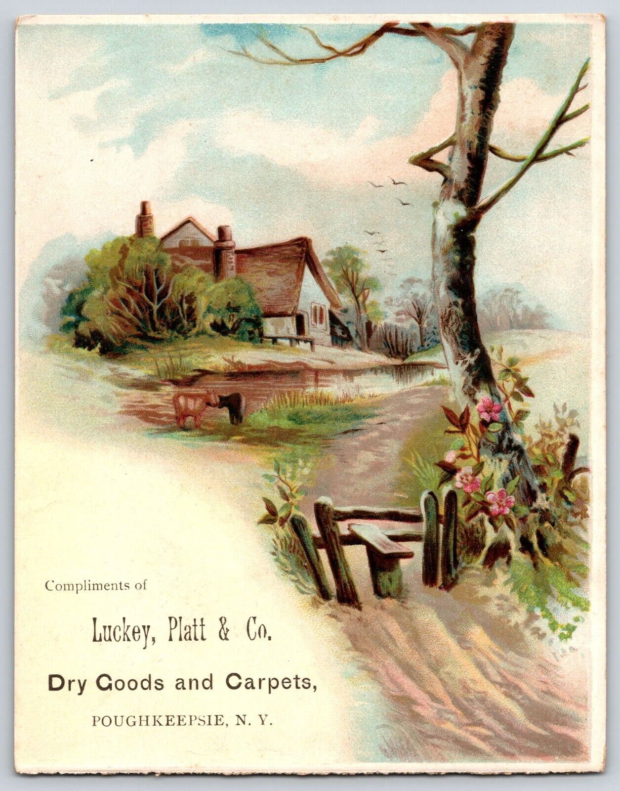Trade Card Poughkeepsie NY Luckey Platt & Co Dry Goods Carpets Victorian