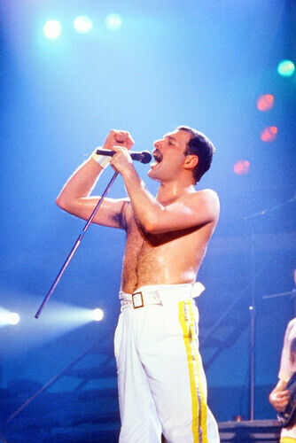 Queen Freddie Mercury Iconic 24X36 Poster Barechested