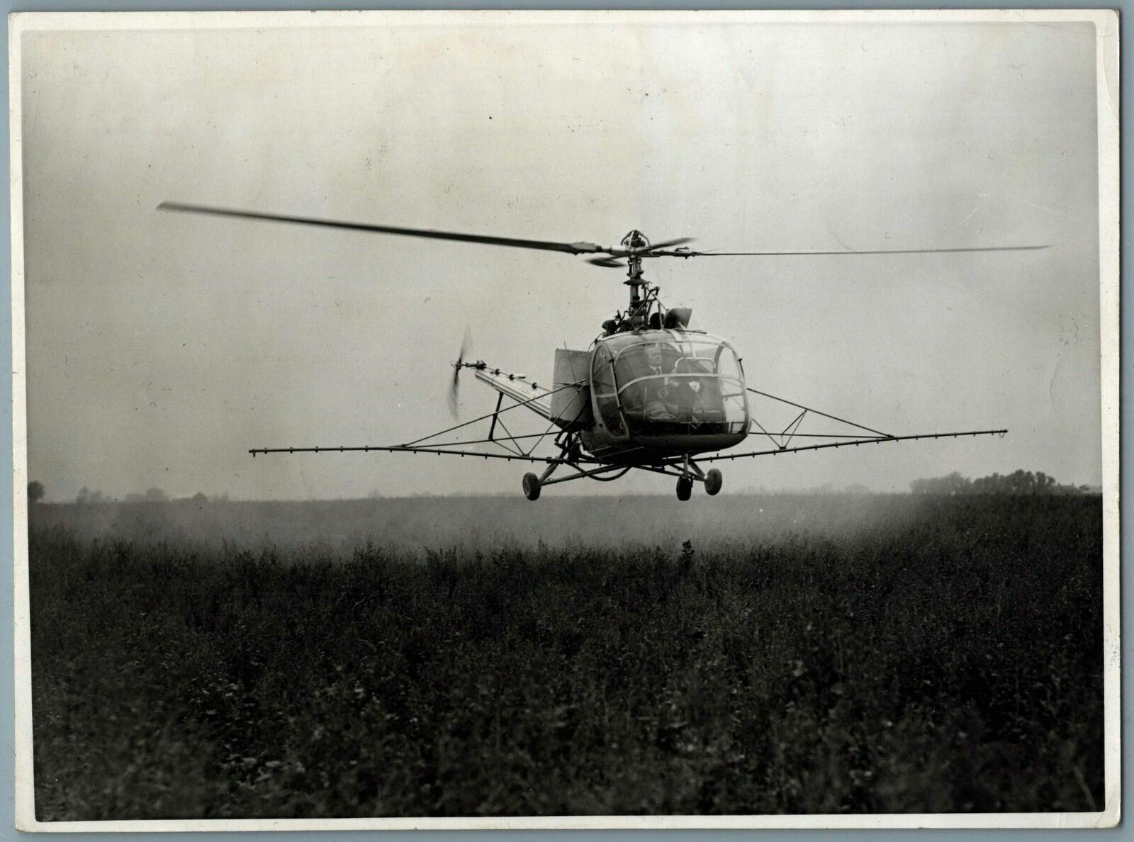 HILLER 360 HELICOPTER PEST CONTOL LTD CROP SPRAYING VINTAGE ORIGINAL PHOTO 4