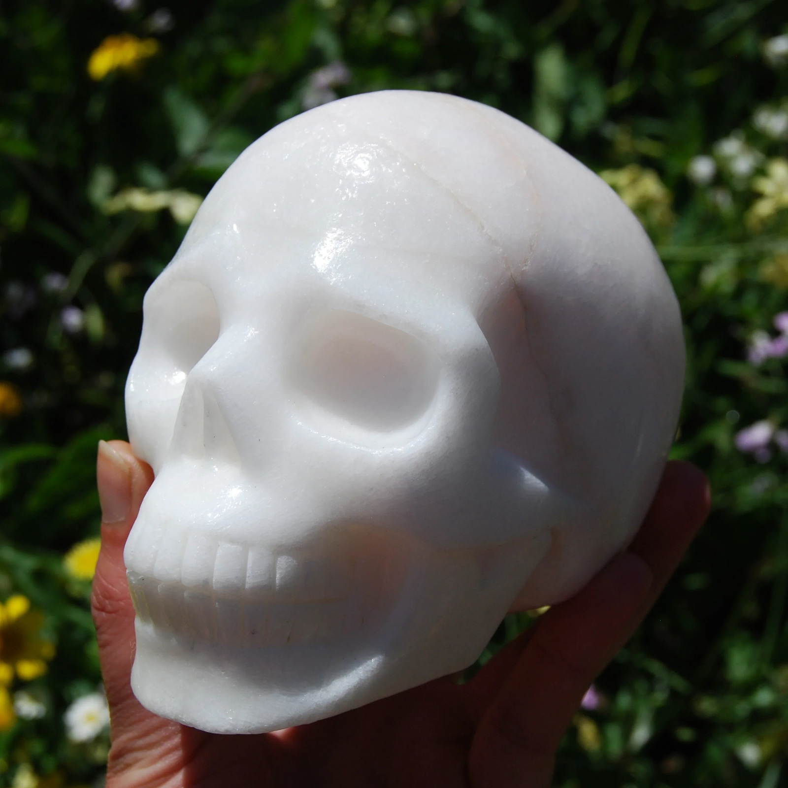 SALE was 265 | 5in 3.6lb Huge Pink Aragonite Carved Crystal Skull, Realistic
